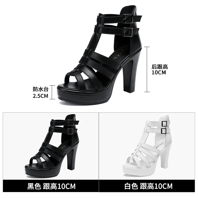 Gladiator Ladies Shoe for Wome - Gladiator Sandal Women avaliação e preço